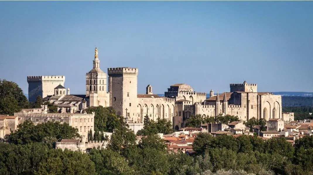 Appart Authentique 100 M Du Palais Des Papes-Clim Apartment Avignon France